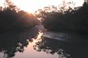 981219_d0703_sunderbans_hiron-point_mangrove_sunrise.jpg