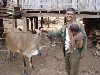 DSC06287_050125_Ban Khone Leng man with kid and cow