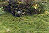 040810_0728_Sunnaryd-Odensj moss