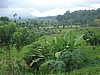 060131 1410_Tirta Gangga hills view to Good Karma.jpg