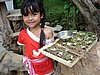 060205 1813_2_Ubud Payogan little cutie evening offerings.jpg