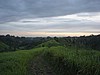 060205 1844_Ubud Bangkiang Siden-Campuan ridge walk.jpg