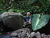 2060124 1400_Senggigi mount valley jungle & liliput BB.jpg