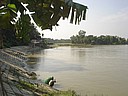 061122 1407_Aburkhil Halda River shore bananas.JPG